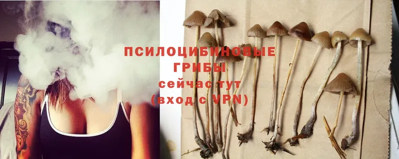 Псилоцибиновые грибы Magic Shrooms  закладка  Енисейск 